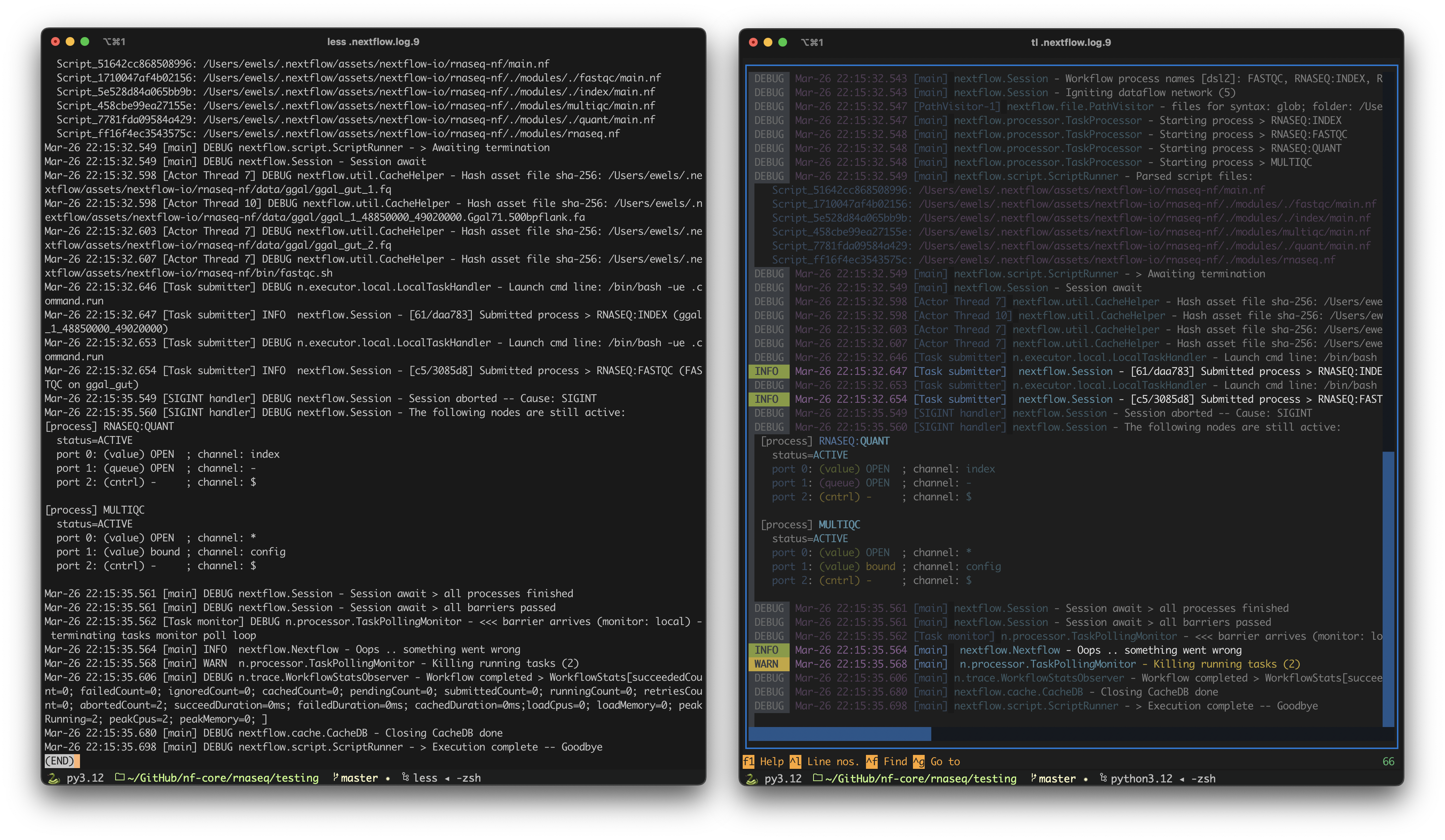 Formatting .nextflow.log files with Toolong